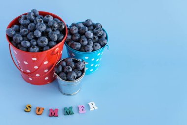 meyve ve sebze, vitamin, sağlıklı yiyecek ve içecek, gastronomi konsepti - mavi arkaplanda çok renkli harflerle yazılmış üç küçük kovada böğürtlen yerleşimi