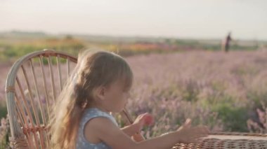 Çocukluk, Provence tarzı - Mutlu, küçük, mavi elbiseli, hasır şapkalı sarışın kız hasır koltukta ve masada oturuyor ve yaz akşamından önce lavanta tarlasında gülümsüyor.