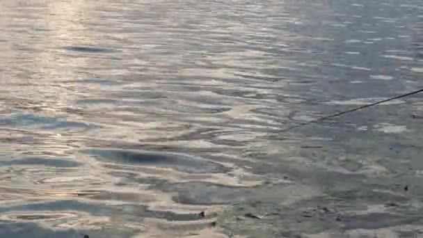 Caccia, pesca, cibo, vacanze estive, concetto di hobby - canna da pesca e lenza sullo sfondo dell'acqua con le piante sulla superficie dell'acqua con piccole onde durante il tramonto. Pescatore cattura pesce — Video Stock