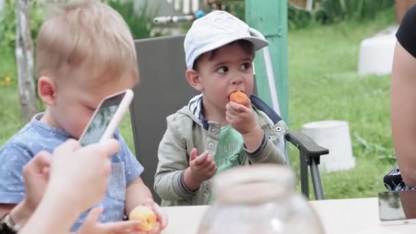 Duża rodzina, dzieciństwo, jedzenie, wakacyjna koncepcja: małe dzieci, chłopcy i dziewczęta, jedzą jagody i owoce na pikniku w Dacha w wiejskim domu w ogrodzie na świeżym powietrzu w słoneczną gorącą pogodę w południe. — Wideo stockowe