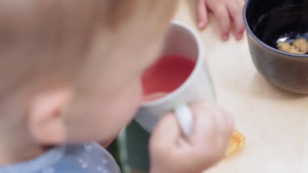 Large family, childhood, food, summer vacations concept: close-up of small blond boy in blue T-shirt drinks from cup on picnic at cottage in country house in garden outdoors on sunny hot day in shade. — Stock Video