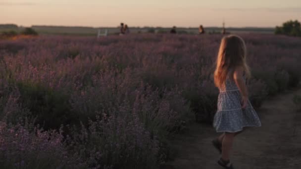 Barndom, provence stil koncept - glad liten 3-årig blond liten flicka i blå klänning slaviska utseende glada dårar runt virvlande och dansa på lavendel fält på sommaren kvällen före solnedgången — Stockvideo