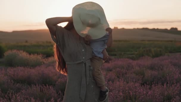 Große Familie, Kindheit, Mutterschaft, Provence-Stil-Konzept - Titelbild glückliche junge Mutter im Kleid hält kleinen Sohn und spielt Verstecken hinter Hut auf Lavendelfeld am Sommerabend Sonnenuntergang — Stockvideo