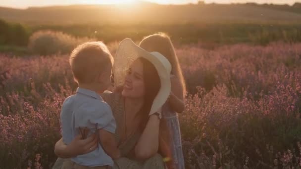 Geniş aile, çocukluk, annelik, provence tarzı konsept. Şapkalı genç anne, yaz akşamı lavanta tarlasında küçük çocuklarla saklambaç oynuyor. — Stok video