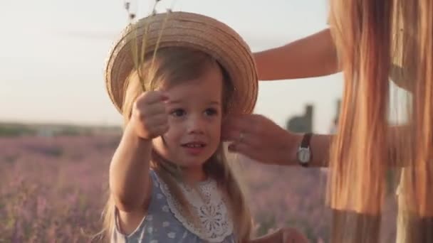 Geniş aile, babalık, çocukluk, annelik, provence tarzı konsept - mutlu genç anne ve küçük kız gün batımından önce lavanta tarlasında öpüşüp gülüyorlar. — Stok video