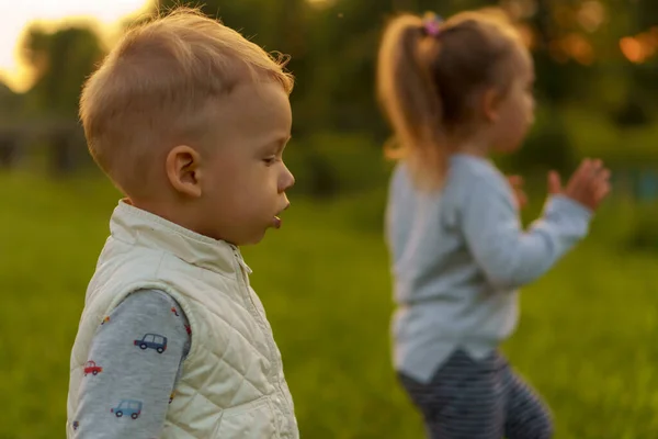 La infancia, la infancia, el desarrollo, el estado de ánimo otoñal, la medicina y el concepto de salud - dos niños pequeños de la misma edad, demuestran emociones de miedo y sorpresa en el prado verde en el parque al atardecer. — Foto de Stock