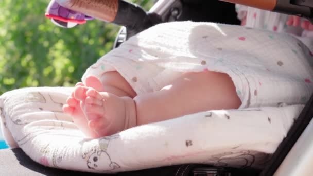 Family Footsストック動画 ロイヤリティフリーfamily Foots動画 Depositphotos