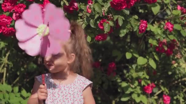 Infância, jogos e entretenimento, conceito ao ar livre - meio-up de feliz alegre pouco bonito menina eslavo caucasiano 3 anos de idade segurando flor de moinho de vento na mão contra o fundo do arbusto de rosas vermelhas — Vídeo de Stock