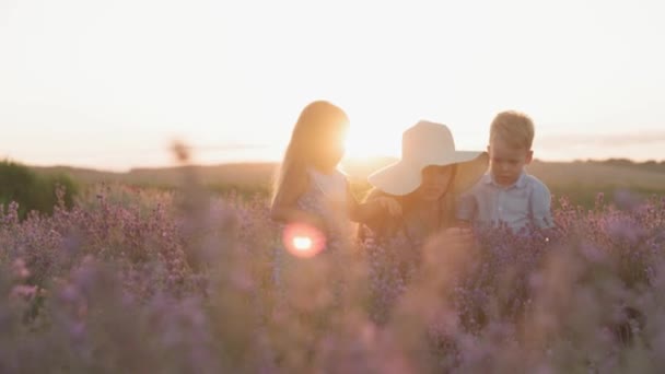 Groot gezin, vaderschap, kindertijd, moederschap, herkomststijl concept - Dekking schot jonge grote moeder verzamelen bloemen met kleine kinderen dochter en zoon op lavendel veld op de zomeravond voor zonsondergang — Stockvideo