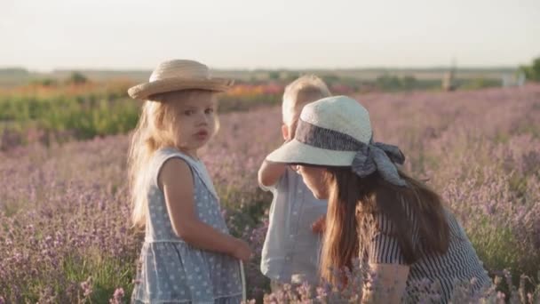 Groot gezin, vaderschap, kindertijd, moederschap, herkomststijl concept - jonge moeder verzamelt bloemen met kleine kinderen jongen en meisje in rieten mand op lavendelveld op de zomeravond voor zonsondergang — Stockvideo