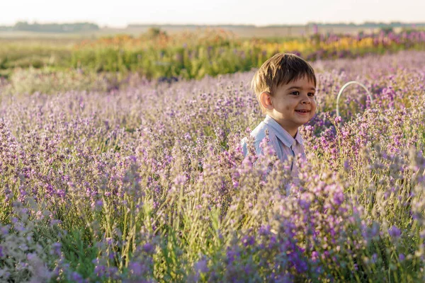 La infancia, el concepto de estilo provence feliz niño de pelo oscuro de 2 años de edad, de apariencia de Oriente Medio sonríe y se asoma desde detrás de los arbustos de flores en el campo de lavanda en el espacio de copia de la puesta del sol de verano — Foto de Stock