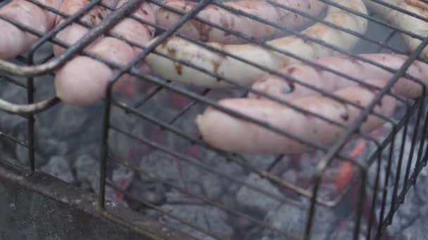 Caféer och restauranger, matlagning, picknick, orientaliskt kök koncept - närbild kallskuret korv på grill uppträdd på spett rökt och stekt på rostade kol. Utomhus mens hand förbereder att äta. — Stockvideo