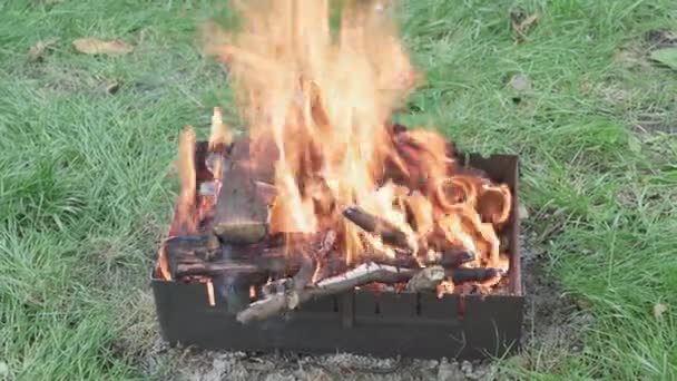 Koken, oosterse keuken, bosbranden, brandstichting concept - vuur en kolen in zwart metalen rooster voor het roken en bakken van vlees en groente voedsel in warmte met rook en achtergrond van groen gras — Stockvideo