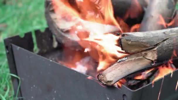 Cooking, oriental cuisine, forest fires, arson concept - lighting fire and coals in black metallic grill for smoking and frying meat and vegetable food in heat with smoke and background of green grass — Stock Video