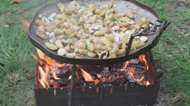 Cafés y restaurantes, picnic, concepto de cocina oriental primer plano agitar patatas y champiñones y añade verduras sartén enorme para cocinar alimentos sobre fogata al aire libre: carne, verduras otros platos. — Vídeo de stock