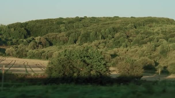 Ulaşım, seyahat, yol, demiryolu, manzara, yakınlaşma konsepti - sarı buğday tarlası, elektrik direkleri ve açık yaz akşamında orman manzarası üzerindeki hız treninin penceresinden manzara — Stok video