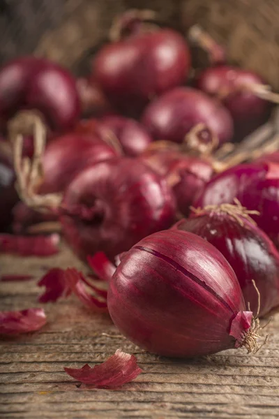 Organic red onion grown in a local garden, the concept of healthy food from autumn fruits