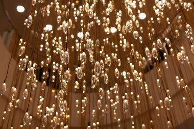 Çok sayıda damla şeklinde cam şeffaf ampuller şeklinde Modern lamba. Sanat nesnesi. Modaya uygun tasarım, iç trend. Sıcak renklerde çerçeve