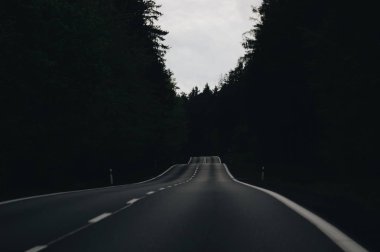 Zengin bir ormanda zarif bir yol.