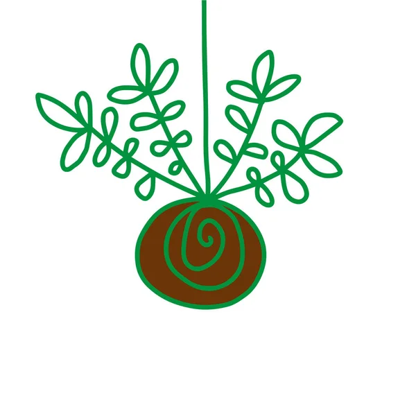 Planta verde suculenta kokedama ilustración dibujada a mano — Vector de stock