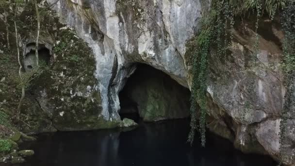 Flucht Von Der Quelle Über Klares Seewasser — Stockvideo