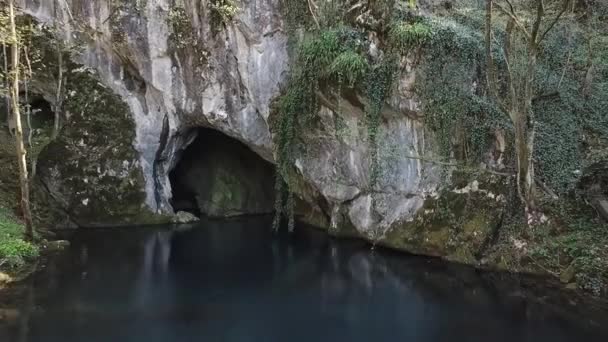 从清爽清澈的湖水上方的泉水中飞走 露出一个小瀑布 — 图库视频影像