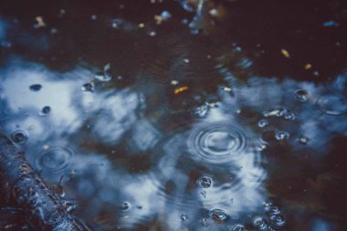 Su bir ormandaki bir sakinleştirici mavi