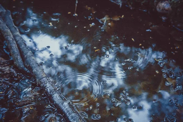 Голубая успокаивающая вода в лесу два — стоковое фото