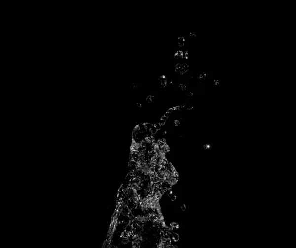 Water Plons Geïsoleerd Zwarte Achtergrond — Stockfoto