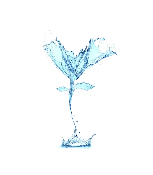 Flower water splash isolated on white background — Stock Photo, Image