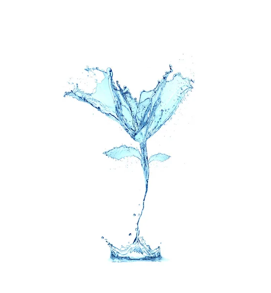 Beyaz arka planda izole edilmiş çiçek suyu sıçraması — Stok fotoğraf