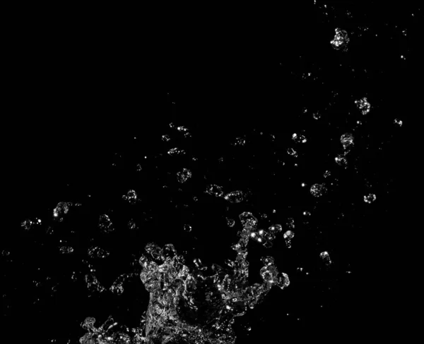 Water plons geïsoleerd op zwarte achtergrond — Stockfoto