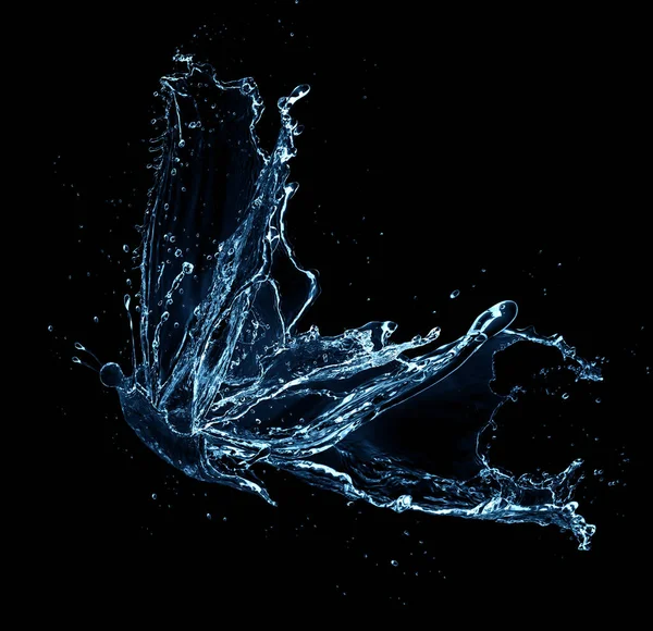 Butterfly Water Splash Isolated Black Background — Stock Photo, Image