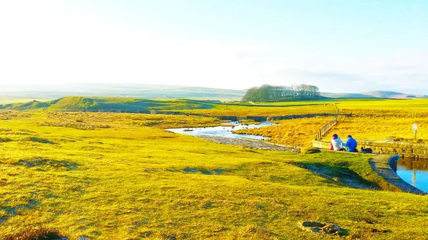 Vacker Utsikt Över Gröna Glas Klar Himmel Vid Malham Tarn — Stockfoto