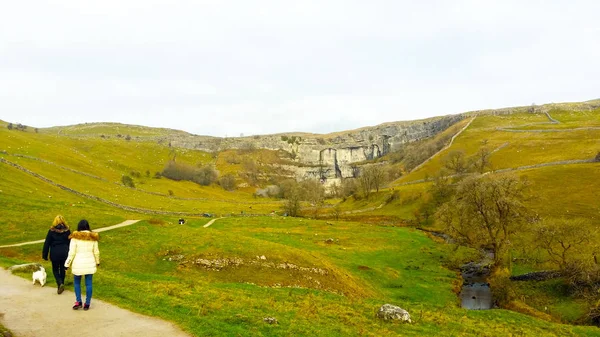 Green color of grasses field and  Malham Cove, a large cured limestone north of the village of Malham, North Yorkshire