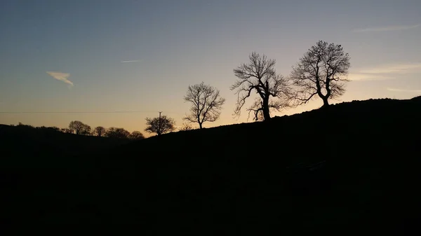 Silhouette shape of tree branches on the hills with sunset sky background