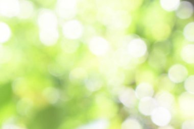 Doğadan gelen Bokeh ışığı gündüz vakti bahçede yeşil yapraklar