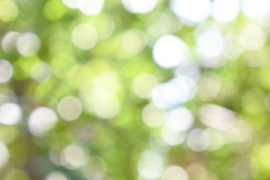 Doğadan gelen Bokeh ışığı gündüz vakti bahçede yeşil yapraklar