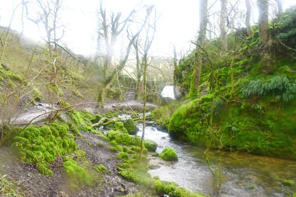 Güzel bir şelale berrak suları ve taşların üzerinde yeşil yosunlar Malham, Yorkshire 'daki Janet' in Foss şelalesinin yanında.