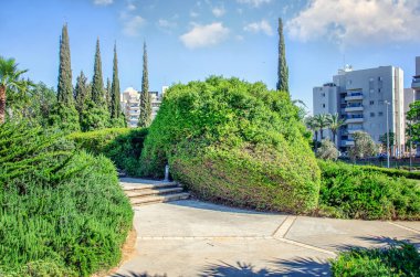 Rishon Letsiyon, İsrail Carmel Mahallesi'nde Holocaust Memorial Park. Beton sokakları dikkatle kesilmiş çalılar çalıştırın. Koni şeklinde beyaz sedir ağaçları arka plan vardır. Arka plan üzerinde konut vardır