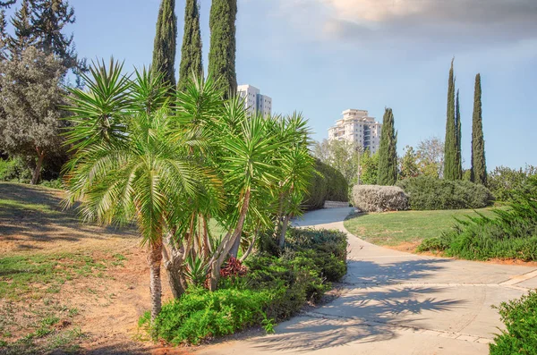 Holocaust Memorial Park Vackraste Avkoppling Zonerna Rishon Letsiyon Israel Promenadvägar — Stockfoto