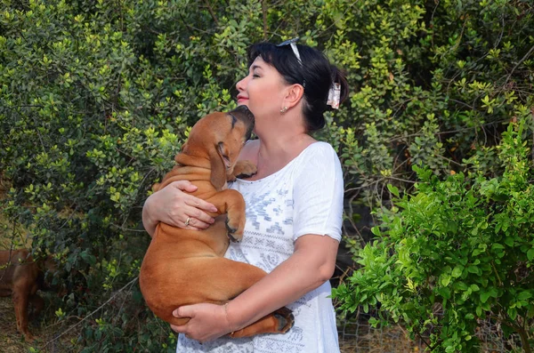 成熟的女人喜欢南非的马斯蒂夫 她在郊区的农场里繁殖博伯尔斯 因为狗很大 需要一个空间 她抱着她最新的一只小狗 — 图库照片