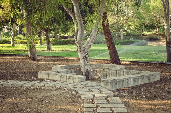 Denna Stadsparken Har Dominerade Blek Brun Och Grå Färger Marken — Stockfoto