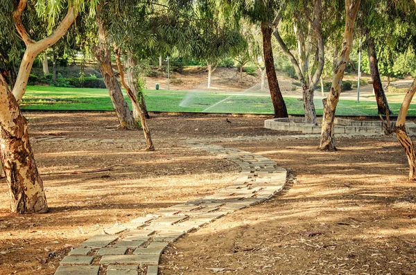 Grå Tegel Gångväg Stadsparken Passet Körs Genom Den Obehandlade Brun — Stockfoto