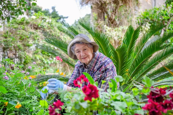 穿着格子衬衫的老年妇女喜欢在后院的花园里与植物交谈 这让她安心 想象和快乐 — 图库照片