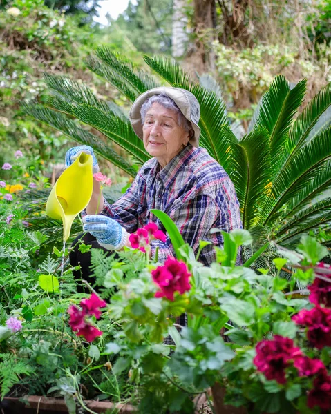 Portrét Starší Ženy Velké Mužské Kostlivce Zalévané Rostliny Její Zahradě — Stock fotografie
