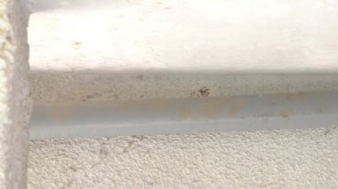 Zemin kattaki dairenin zemininden yeni PVC kanalizasyon borusu grisi renginde turuncu kablolar çıkıyor. Özel bir otoparkın tavanından geçiyor..