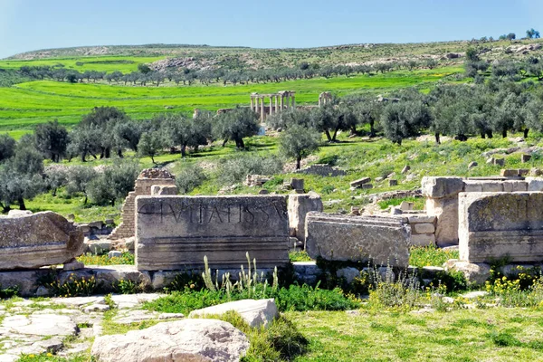 Ruines de colonnes avec temple Juno à Dougga, Tunisie — Photo