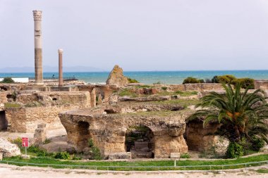 Kartaca Antoninus Görünümü Hamamları, Tunus. 