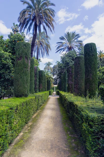 Vista vertical de los Jardines del Palacio Real Alcázar en Sevi — Foto de Stock